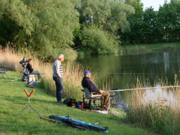 Competities HSV Alfheim